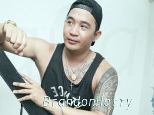 BrandonHarry