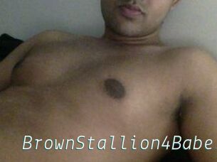 BrownStallion4Babes