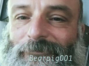 Bearpig001