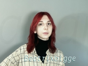 Beatrixbigge