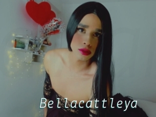 Bellacattleya