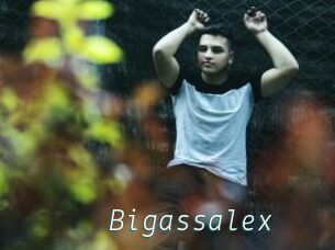 Bigassalex