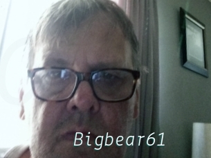 Bigbear61