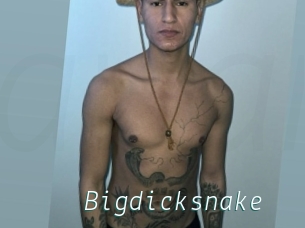 Bigdicksnake
