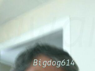 Bigdog614