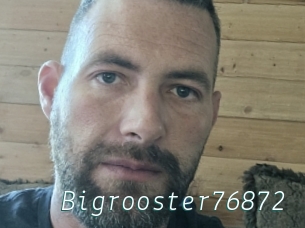 Bigrooster76872