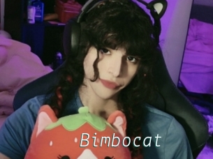 Bimbocat