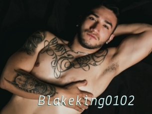 Blakeking0102