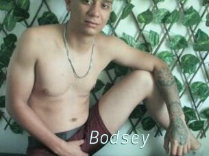 Bodsey