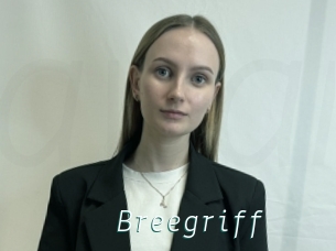 Breegriff