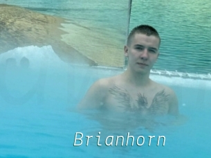 Brianhorn