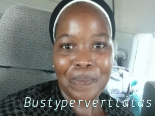 Bustyperverttatas