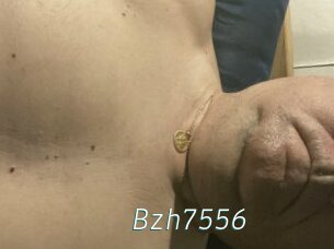 Bzh7556