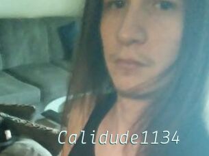 Calidude1134