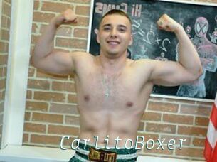 CarlitoBoxer