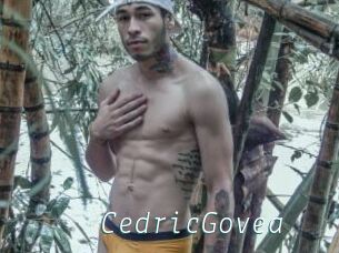 CedricGovea