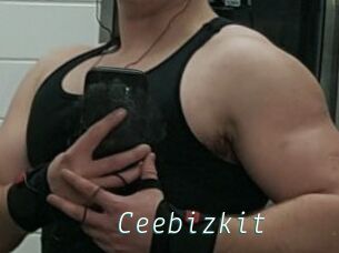 Ceebizkit
