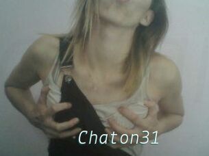 Chaton31