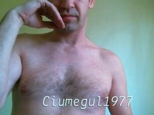 Ciumegul1977