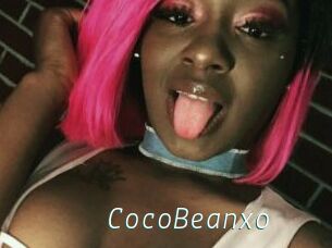 CocoBeanxo