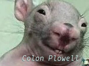 Colon_Plowell