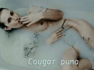 Cougar_puma