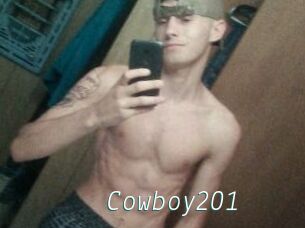 Cowboy201