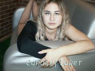 Candieflower