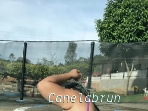 Canelabrun