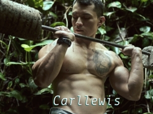 Carllewis