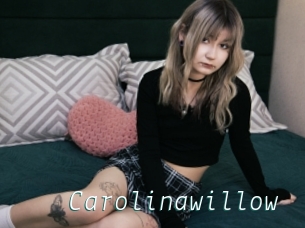 Carolinawillow
