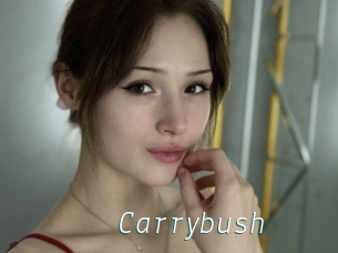 Carrybush