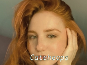 Cateheaps
