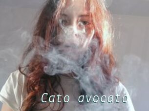 Cato_avocato