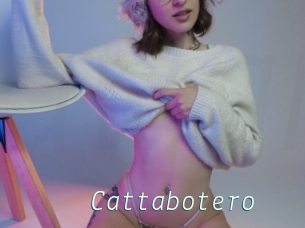 Cattabotero