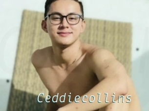 Ceddiecollins