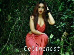 Celinehest