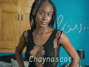 Chaynascot