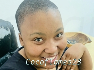 Cocoflames23