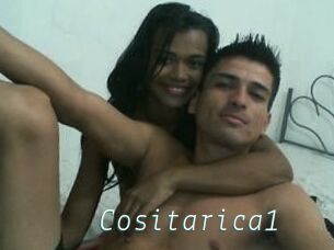 Cositarica1