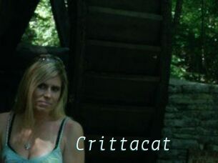 Crittacat
