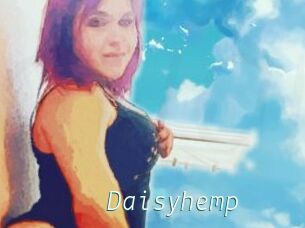 Daisy_hemp