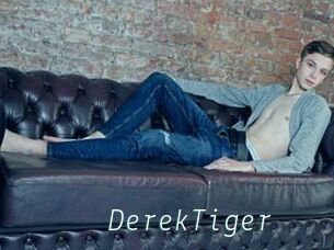 DerekTiger