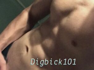 Digbick101