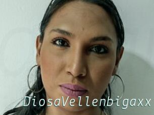 DiosaVellenbigaxx