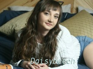 Daisybeech