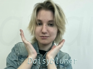 Daisyblumer