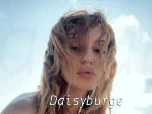 Daisyburge