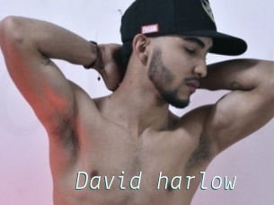 David_harlow
