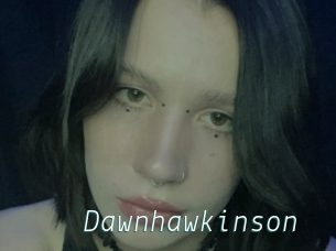 Dawnhawkinson